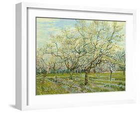 The White Orchard, 1888-Vincent van Gogh-Framed Giclee Print