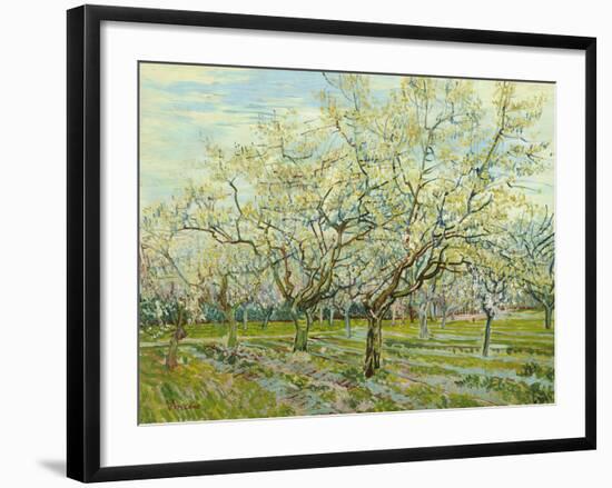 The White Orchard, 1888-Vincent van Gogh-Framed Giclee Print