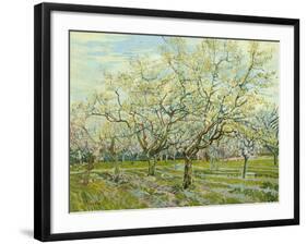 The White Orchard, 1888-Vincent van Gogh-Framed Giclee Print