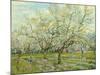 The White Orchard, 1888-Vincent van Gogh-Mounted Giclee Print