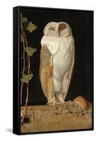 The White Owl, 1856-William J. Webbe-Framed Stretched Canvas