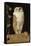 The White Owl, 1856-William J. Webbe-Framed Stretched Canvas