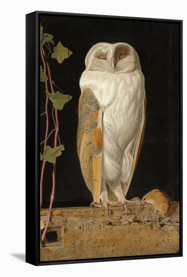 The White Owl, 1856-William J. Webbe-Framed Stretched Canvas