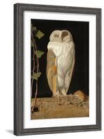 The White Owl, 1856-William J. Webbe-Framed Giclee Print