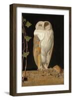 The White Owl, 1856-William J. Webbe-Framed Giclee Print