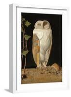 The White Owl, 1856-William J. Webbe-Framed Giclee Print