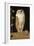 The White Owl, 1856-William J. Webbe-Framed Giclee Print