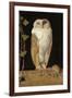 The White Owl, 1856-William J. Webbe-Framed Giclee Print