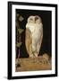 The White Owl, 1856-William J. Webbe-Framed Giclee Print