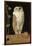 The White Owl, 1856-William J. Webbe-Framed Giclee Print