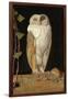 The White Owl, 1856-William J. Webbe-Framed Giclee Print