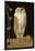 The White Owl, 1856-William J. Webbe-Framed Giclee Print