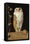 The White Owl, 1856-William J. Webbe-Framed Stretched Canvas