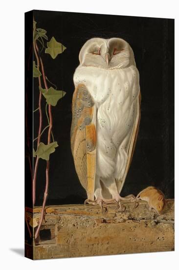 The White Owl, 1856-William J. Webbe-Stretched Canvas