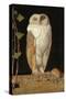 The White Owl, 1856-William J. Webbe-Stretched Canvas
