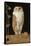 The White Owl, 1856-William J. Webbe-Framed Stretched Canvas