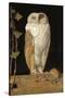 The White Owl, 1856-William J. Webbe-Stretched Canvas