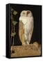 The White Owl, 1856-William J. Webbe-Framed Stretched Canvas