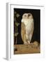 The White Owl, 1856-William J. Webbe-Framed Premium Giclee Print