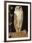 The White Owl: 'Alone and Warming His Five Wits, the White Owl in the Belfry Sits', 1856-William J. Webbe-Framed Giclee Print