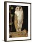 The White Owl: 'Alone and Warming His Five Wits, the White Owl in the Belfry Sits', 1856-William J. Webbe-Framed Giclee Print