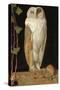 The White Owl: 'Alone and Warming His Five Wits, the White Owl in the Belfry Sits', 1856-William J. Webbe-Stretched Canvas