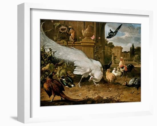 The White Peacock-Melchior d'Hondecoeter-Framed Giclee Print