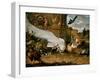 The White Peacock-Melchior d'Hondecoeter-Framed Giclee Print