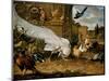 The White Peacock-Melchior d'Hondecoeter-Mounted Giclee Print