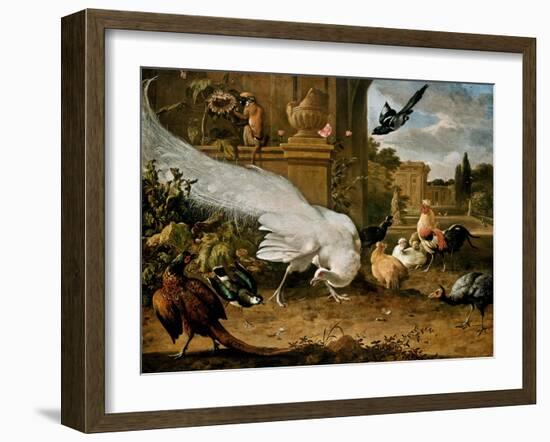 The White Peacock-Melchior d'Hondecoeter-Framed Premium Giclee Print