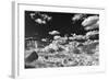 The White Place-Dean Fikar-Framed Photographic Print