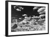 The White Place-Dean Fikar-Framed Photographic Print