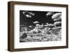 The White Place-Dean Fikar-Framed Photographic Print