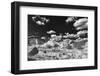 The White Place-Dean Fikar-Framed Photographic Print