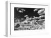 The White Place-Dean Fikar-Framed Photographic Print