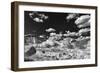 The White Place-Dean Fikar-Framed Photographic Print