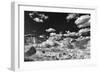 The White Place-Dean Fikar-Framed Photographic Print