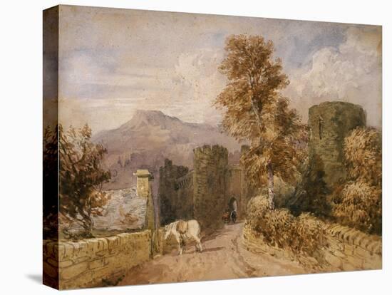 The White Pony, C.1831-David Cox-Stretched Canvas