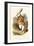 The White Rabbit-John Teniel-Framed Premium Giclee Print
