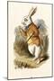 The White Rabbit-John Teniel-Mounted Premium Giclee Print