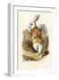 The White Rabbit-John Teniel-Framed Giclee Print