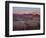 The White Rim Trail in Canyonlands National Park, Near Moab, Utah-Sergio Ballivian-Framed Photographic Print