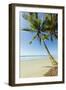 The White Sand Palm-Fringed Beach at This Laid-Back Village and Resort; Samara-Rob Francis-Framed Photographic Print