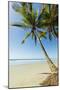 The White Sand Palm-Fringed Beach at This Laid-Back Village and Resort; Samara-Rob Francis-Mounted Photographic Print