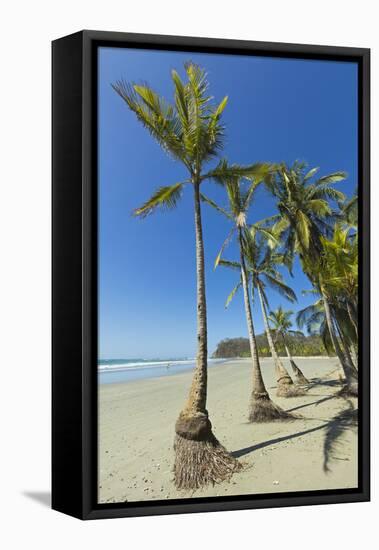 The White Sand Palm-Fringed Beach at This Laid-Back Village and Resort; Samara-Rob Francis-Framed Stretched Canvas