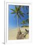 The White Sand Palm-Fringed Beach at This Laid-Back Village and Resort; Samara-Rob Francis-Framed Photographic Print