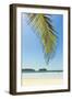 The White Sand Palm-Fringed Beach at This Laid-Back Village and Resort; Samara-Rob Francis-Framed Photographic Print