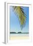 The White Sand Palm-Fringed Beach at This Laid-Back Village and Resort; Samara-Rob Francis-Framed Photographic Print