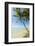 The White Sand Palm-Fringed Beach at This Laid-Back Village and Resort; Samara-Rob Francis-Framed Photographic Print