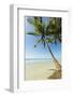 The White Sand Palm-Fringed Beach at This Laid-Back Village and Resort; Samara-Rob Francis-Framed Photographic Print